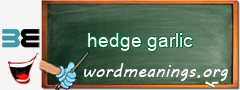 WordMeaning blackboard for hedge garlic